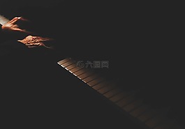 鋼琴,鋼琴家,音樂家