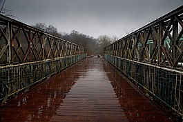 橋,河,雨