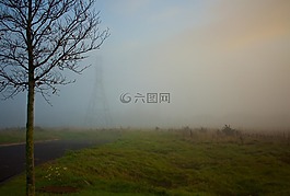 草,原野,樹