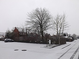 冬季奇觀,土地,城市