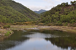 性质,沼泽,打开空气