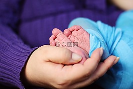 嬰兒腳,保持,父母