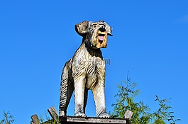 木狗,數(shù)字,狗