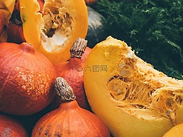 南瓜,萬圣節(jié),自然