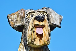 木狗,數(shù)字,狗