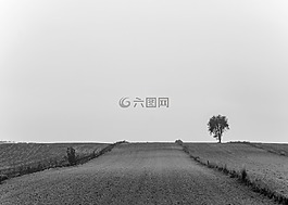 農(nóng)村,路,字段