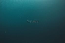 海洋,海,水