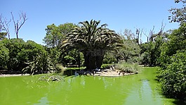 性質(zhì),景觀,生活