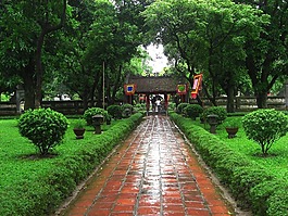 越南,花園,人行道