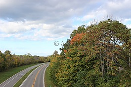 路,天空,樹
