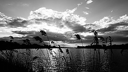 湖,體重,太陽