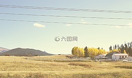 草,字段,農(nóng)村