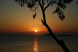 日落,樹,海