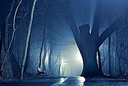 夜,公園,霧