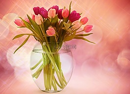 郁金香,郁金香花束,鮮花