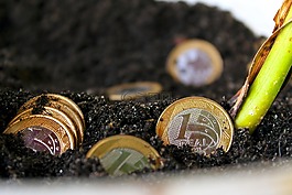 真實(shí),錢,巴西貨幣