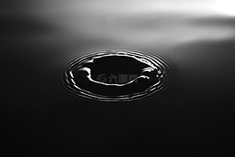 滴,水,濕