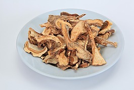 臨時選舉委員會,干,蘑菇