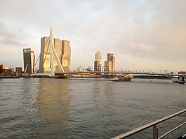 天際線,鹿特丹,城市