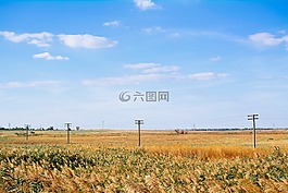 蓝色,天空,阳光