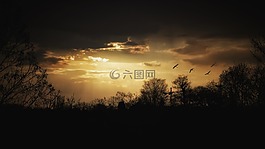 晚上,心情,黃昏
