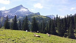 山,性質(zhì),景觀