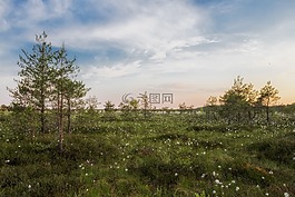 愛沙尼亞,景觀,景區(qū)