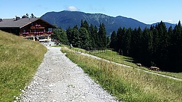 性質(zhì),山,草
