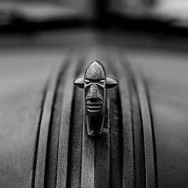 黑,白,汽車(chē)徽章
