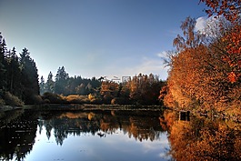 湖,waldsee,水