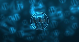 wordpress,背景,web