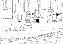 圣經(jīng),ccx,storying