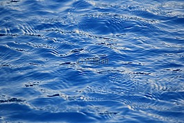 水,池,藍(lán)色
