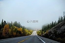 巷道,秋季景觀,景觀