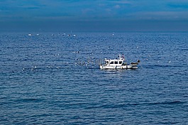 船,漁船,釣魚