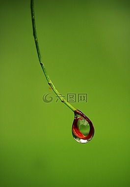 拖放,濕,雨