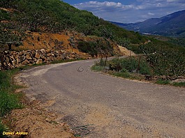 路,瀝青,路線