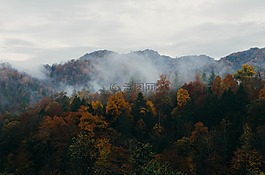 秋季景觀,多云,景觀