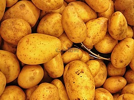 土豆,蔬菜,食品