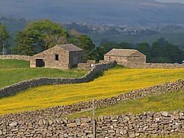 英格蘭,英國,景觀