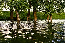 河,日落,洪水