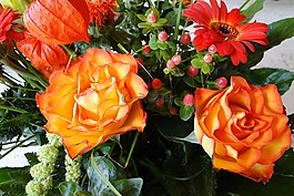 玫瑰,鮮花,斯特勞斯