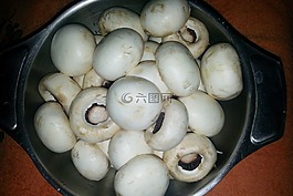 蘑菇,真菌