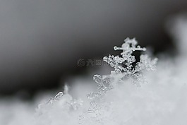雪,雪花,宏