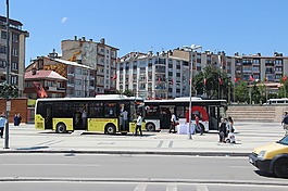 錫瓦斯,公共汽車,促進