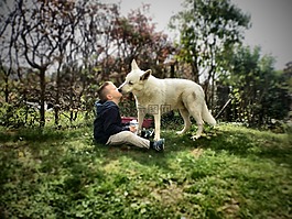 吻,狗,爱