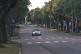 汽車,路,樹木