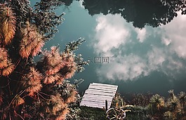 保存,全球,綠色