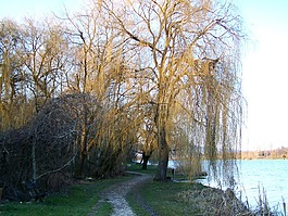 湖,湖濱區(qū),性質(zhì)
