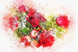 鲜花,花束,圣诞节